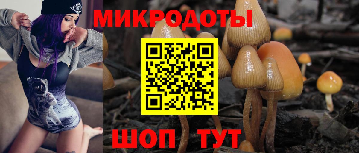 Псилоцибиновые грибы мицелий  Вход с VPN  Калач-на-Дону 